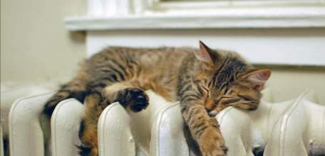 Сегодня в Ельце дан старт отопительному сезону