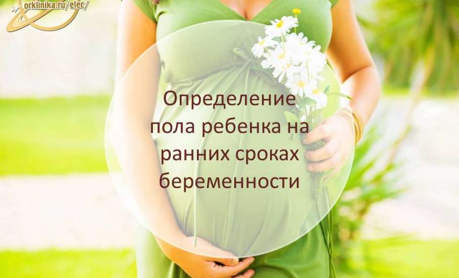 Определение пола ребёнка с 9 недель беременности по крови матери