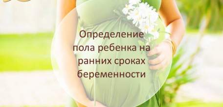 Определение пола ребёнка с 9 недель беременности по крови матери