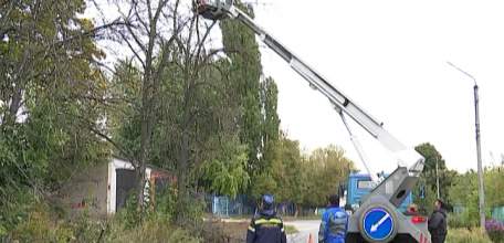 По списку проблем: в переулке Кирпичном идёт опиловка деревьев
