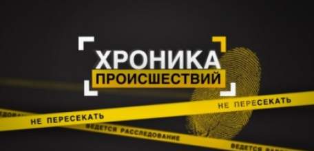 Полиция Елецкого района задержала подозреваемого в краже садового инвентаря с дачного участка