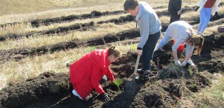 Добровольцы из Елецкого района присоединились к Всероссийской акции «Лес Победы»