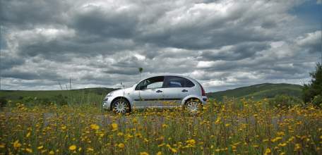 18-20 октября сотрудники ОГИБДД Елецкого района будут проводить профилактические мероприятия