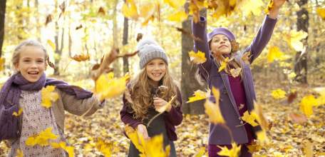 Организованный отдых детей в период осенних каникул