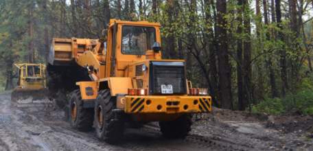 Лесхозы Липецкой области завершили противопожарные работы