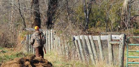 С 1 ноября в Липецкой области начинается осенне-зимний сезон охоты на пушных зверей