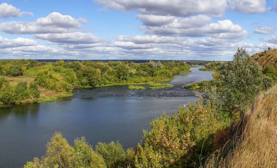 Расчистка реки Быстрая Сосна запланирована на 2021-2024 годы