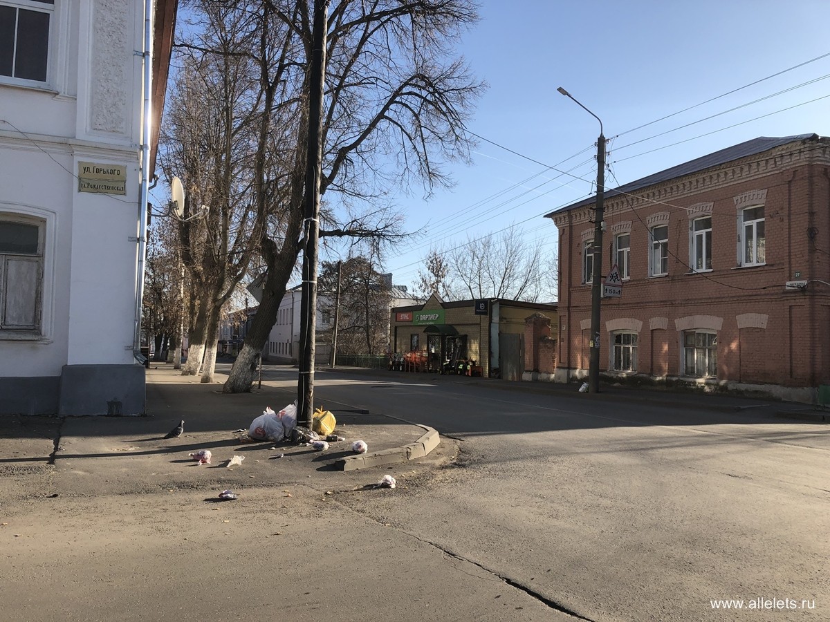 Не вовремя вывезенный мусор в центре города растаскивают животные и птицы!  / Новости