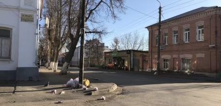 Не вовремя вывезенный мусор в центре города растаскивают животные и птицы!