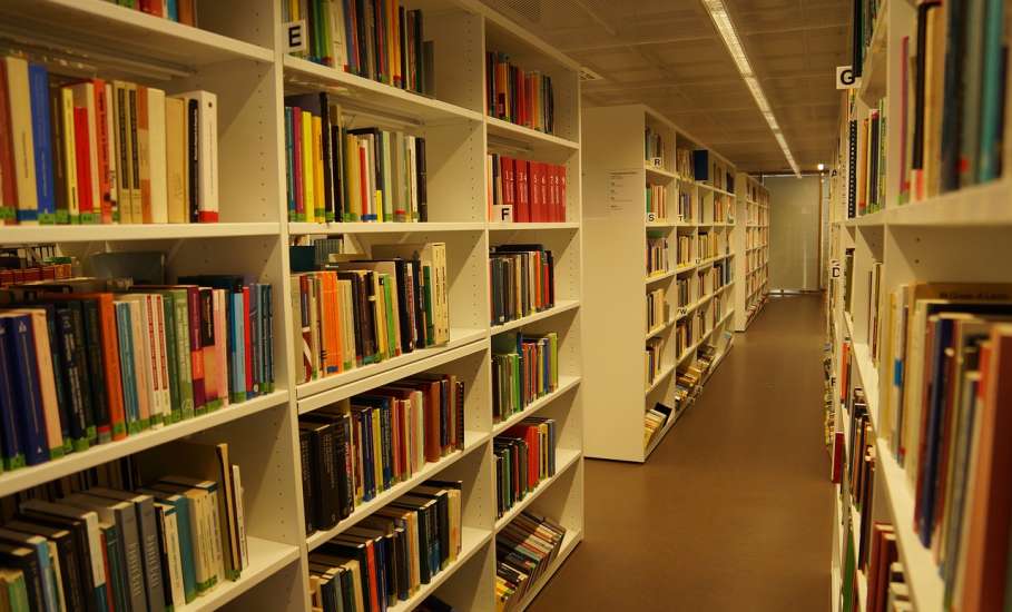 Программа мероприятий муниципальных библиотек города Ельца на декабрь 2019 года
