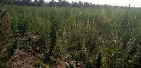 Принятыми мерами прокурорского реагирования нарушения законодательства об охране земель устранены в Елецком районе