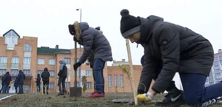 Аллея дружбы: Воронежский лесотехнический университет подарил школе № 12 саженцы сосны