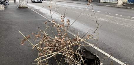 Работа администрации или акт в двух действиях