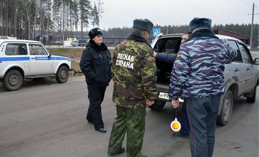 Охрана хвойных молодняков в Липецкой области перед Новым годом усилена