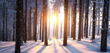 Большинству россиян нравится зима, но только у 8% это любимое время года