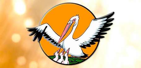 Стартовал конкурс «Учитель года Елецкого муниципального района - 2020»