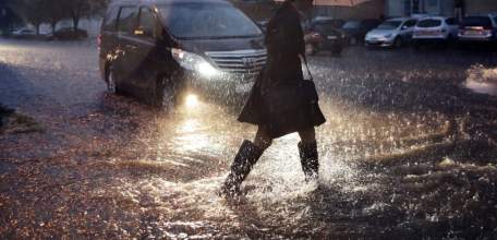 Елецкие автоинспекторы выявляли нарушителей на пешеходных переходах