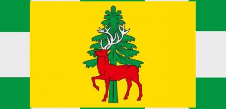 В Елецком районе принят проект бюджета