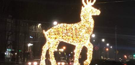 Елец украсили к Новому году!