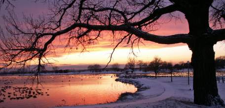 Рождественский сочельник наступил у православных христиан