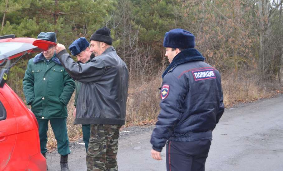 Итоги работы лесных инспекторов по незаконным рубкам новогодних красавиц