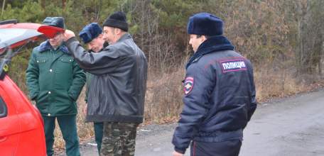 Итоги работы лесных инспекторов по незаконным рубкам новогодних красавиц