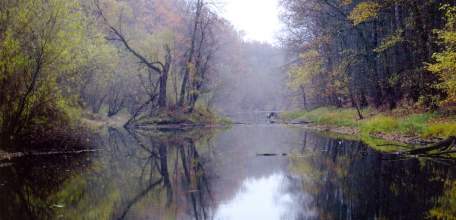 На что экологи смотрят?..