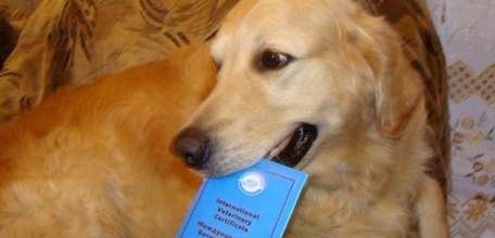 К владельцам животных могут прийти с проверкой