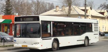 ОГИБДД ОМВД России по городу Ельцу просит откликнуться очевидцев происшествия!