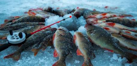 Три фестиваля зимней рыбалки пройдут в Липецкой области