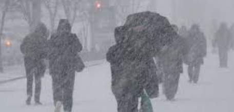 30 и 31 января на территории Липецкой области ожидается усиление южного ветра, осадки в виде дождя и мокрого снега