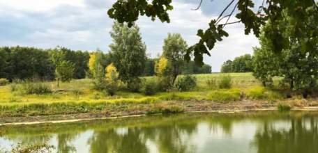 В Ельце определены победители конкурса юных фотолюбителей