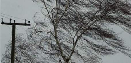 17 февраля на территории Липецкой области ожидается усиление юго-западного ветра с порывами 15-20 м/с