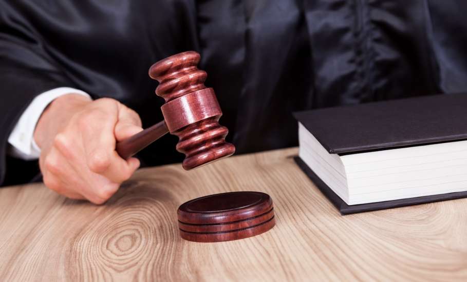 Мировой судья Елецкого городского судебного участка вынес обвинительный приговор