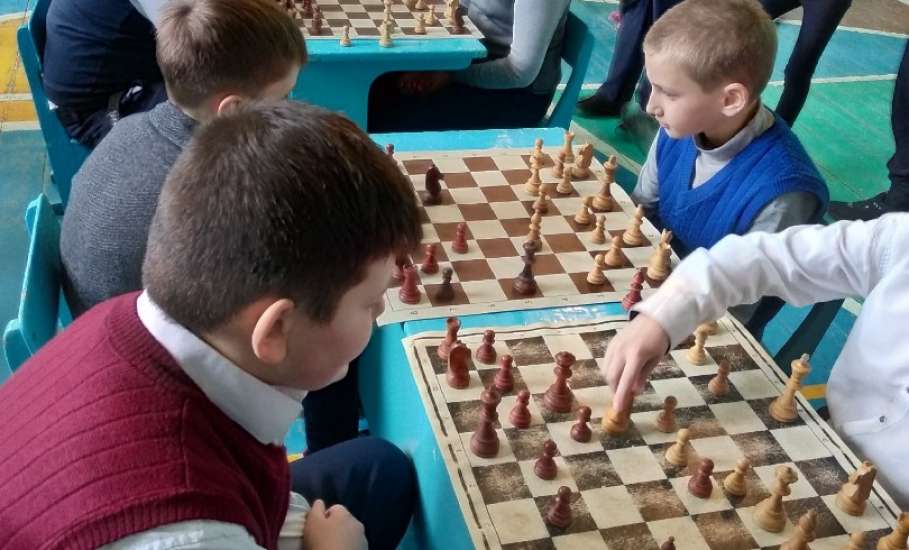 Муниципальный этап областного фестиваля «Юный шахматист»