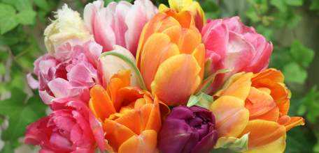 Начальник ОМВД России по г. Ельцу Г. Григоров поздравляет женщин с 8 марта