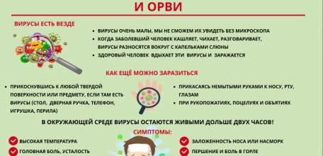 Ситуация по коронавирусной инфекции в Липецкой области