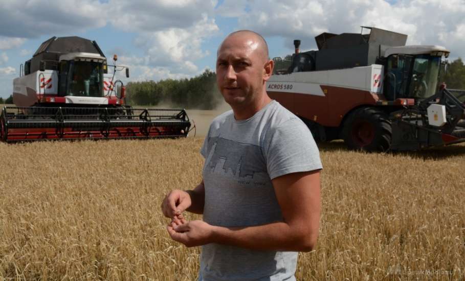 Начинающие фермеры в Липецкой области получат гранты