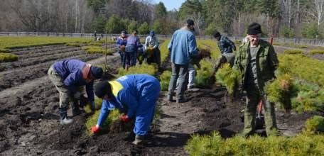 Лесхозы Липецкой области начали подготовку к весенней посадке леса
