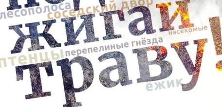 Липецкая область присоединилась к Федеральной информационной противопожарной кампании «Останови огонь!» сезона 2020 года