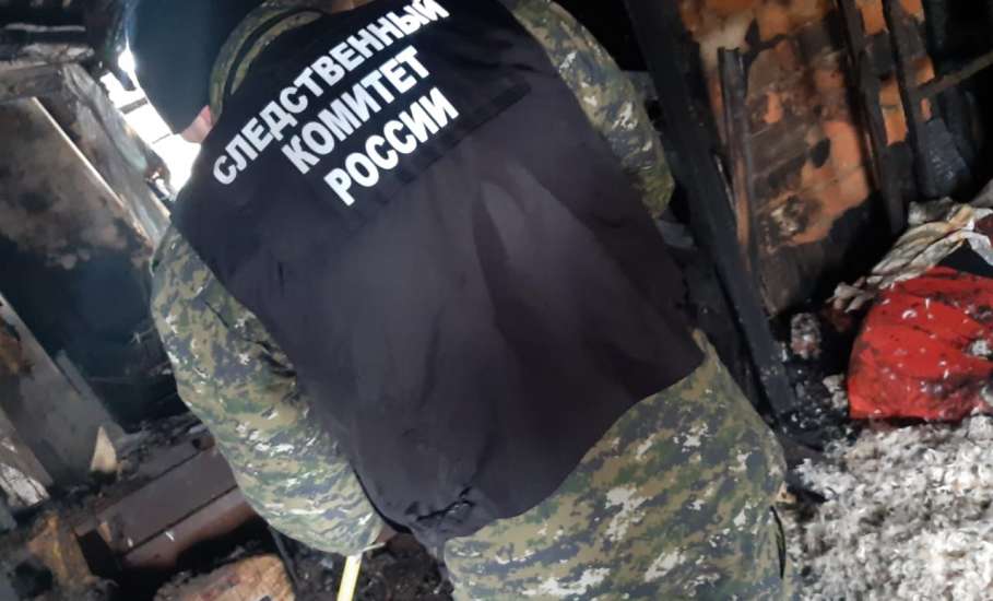 В Липецкой области проводится доследственная проверка по факту смерти трёх жителей Елецкого района при пожаре в частном доме