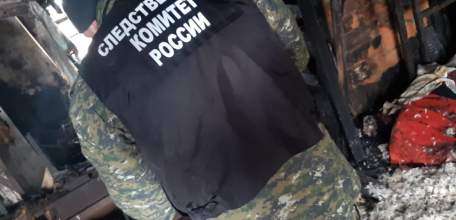 В Липецкой области проводится доследственная проверка по факту смерти трёх жителей Елецкого района при пожаре в частном доме
