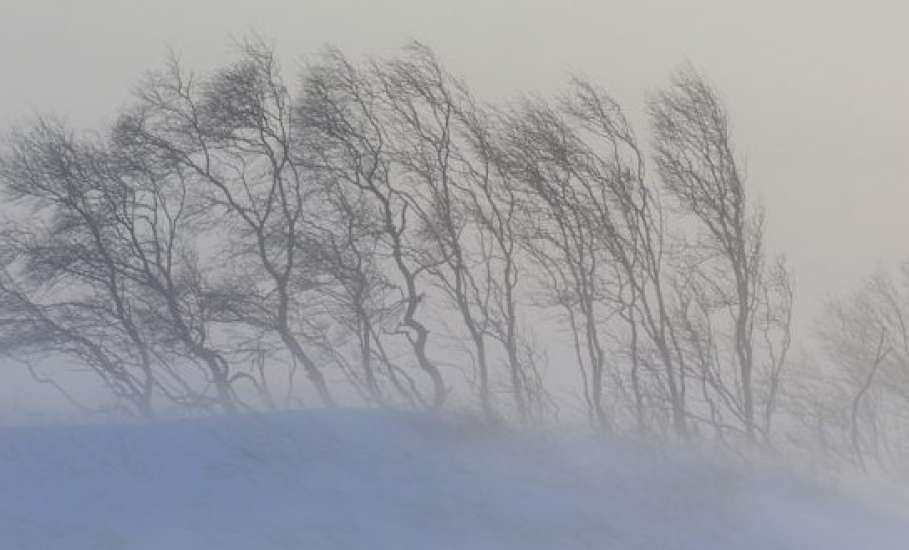 В выходные дни в Липецкой области возможен снег и сильный ветер