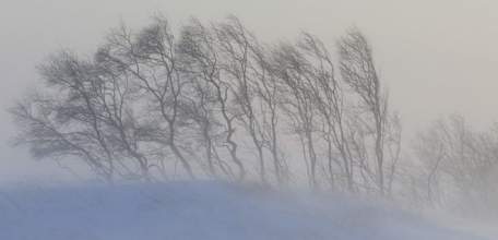 В выходные дни в Липецкой области возможен снег и сильный ветер