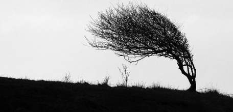 Внимание! Сильный ветер