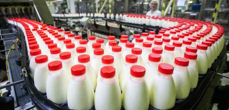 Молоком, зерном и хлебом липчане обеспечены