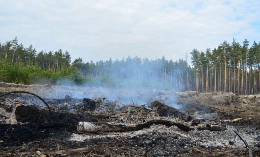 В Липецкой области введён особый противопожарный режим