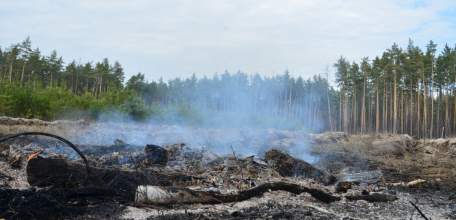 В Липецкой области введён особый противопожарный режим