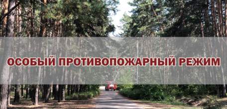 На территории Липецкой области введен особый противопожарный режим!