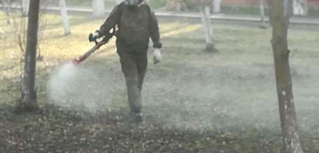 В Ельце проводится акарицидная обработка общественных территорий - парков и скверов